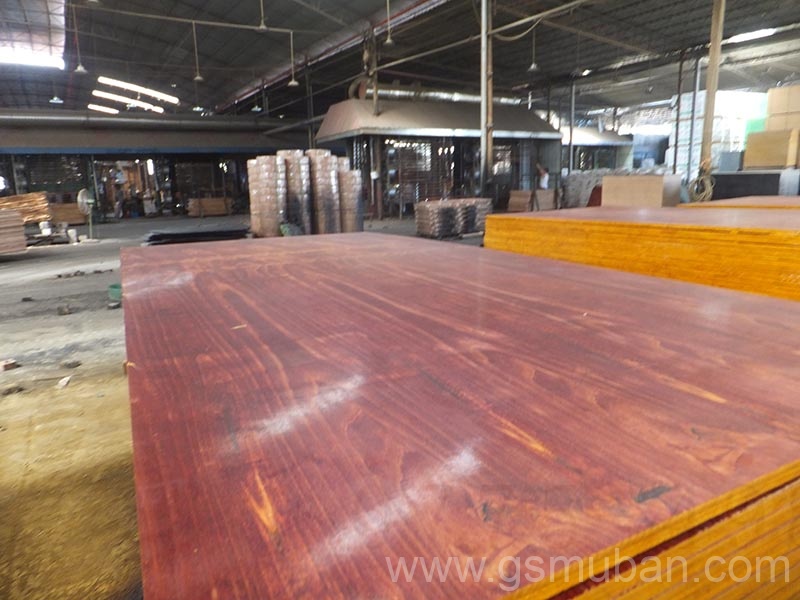 什么是桉木模板？廣西模板廠家推薦